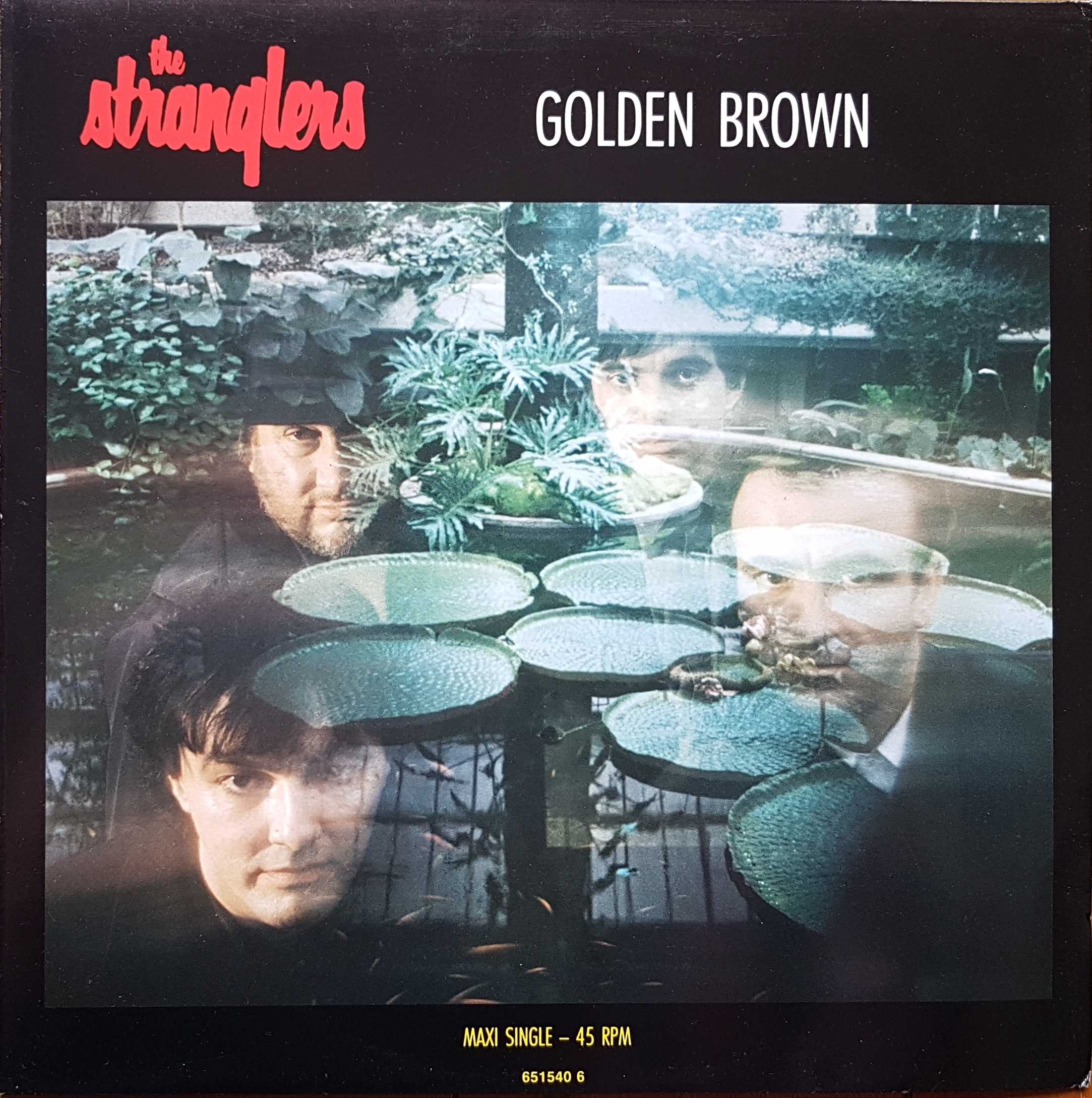 Picture of 651540 6 Golden brown by artist The Stranglers